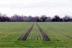 Sutton Coldfield Residents say no to Building on the Green Belt